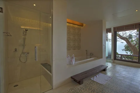 Spacious indoor bath tub and separate shower
